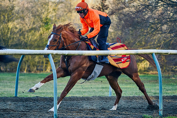 2022-02-26-Dominic-James-1476