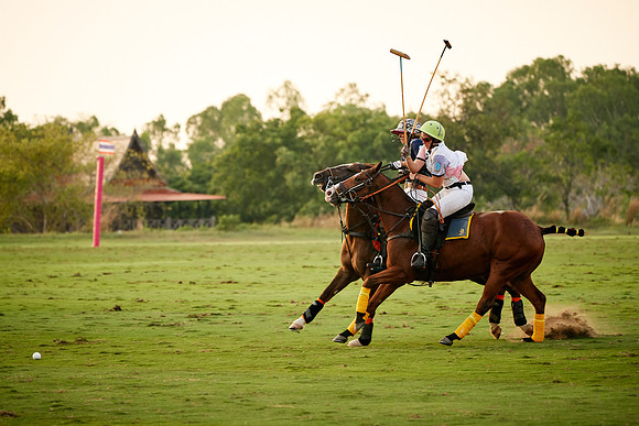 THAI-PINK-POLO-2019_DJ_5575