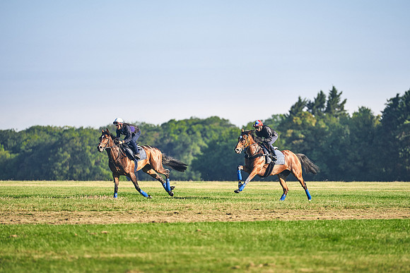 16th-June-Dominic-James-0566