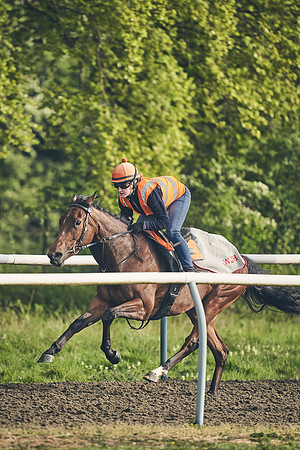 NEWMARKET-GALLOPS-24nd-APRIL-DJ-0677