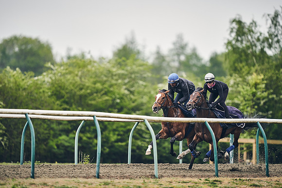 NEWMARKET-GALLOPS-25th-APRIL-DJ-0116