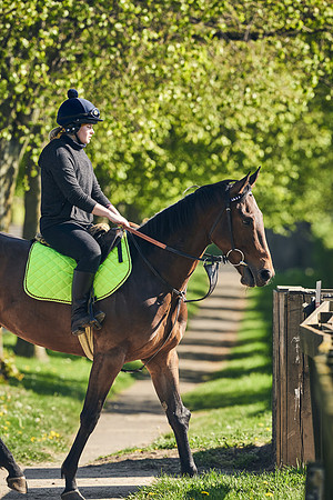 NEWMARKET-GALLOPS-22nd-APRIL-DJ-3857