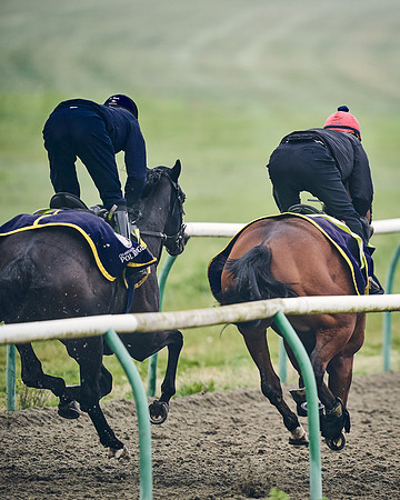 NEWMARKET-GALLOPS-24nd-APRIL-DJ-0376