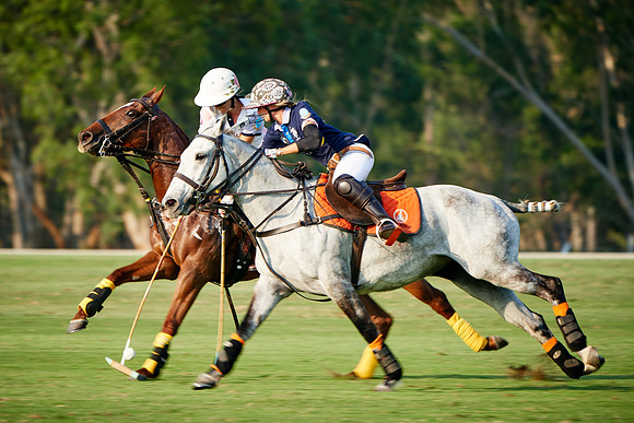 THAI-PINK-POLO-2019_DJ_5113