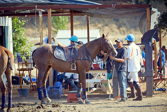 Oyster Cup Polo tournament