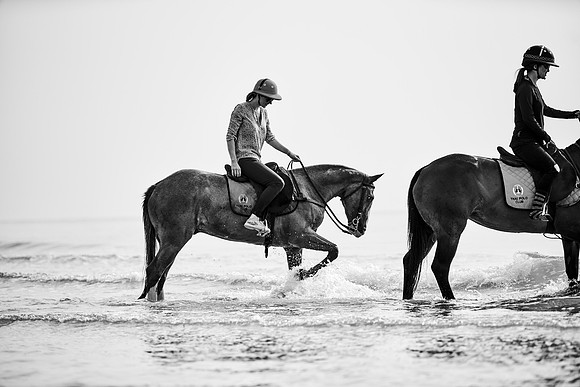 _DSC1634.ARW