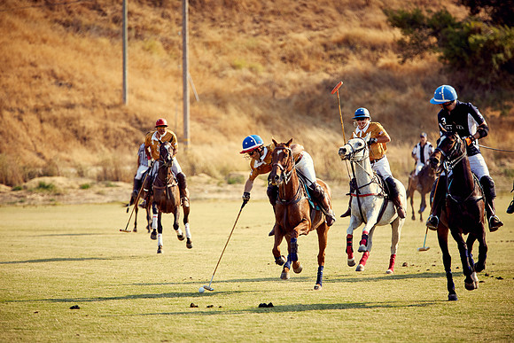 Oyster Cup Polo tournament