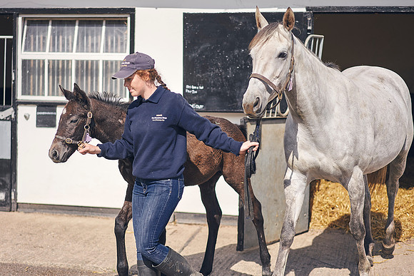 The-National-Stud-Dominic-James_DOM9468