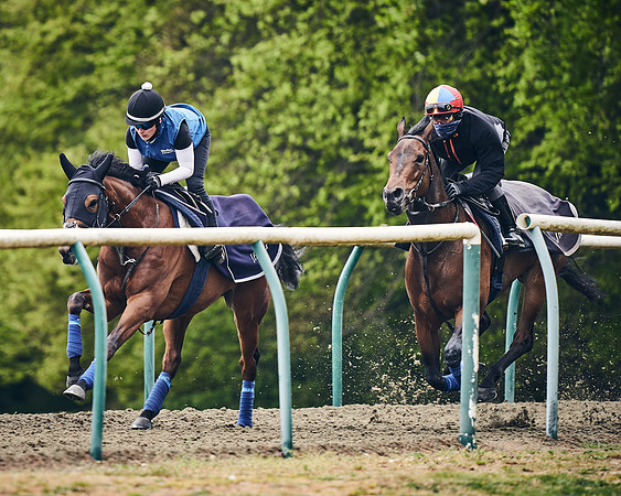 NEWMARKET-GALLOPS-25th-APRIL-DJ-0013