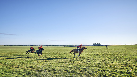 SUMMER GALLOPS-2nd-May-DJ-1429