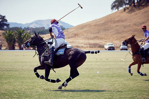 Oyster Cup Polo tournament