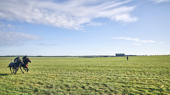 SUMMER GALLOPS-2nd-May-DJ-1550