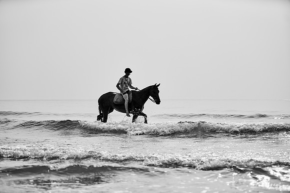 _DSC1614.ARW