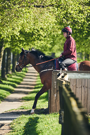 NEWMARKET-GALLOPS-22nd-APRIL-DJ-4025