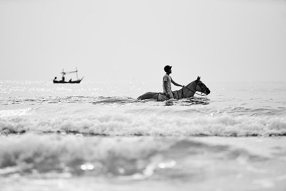 _DSC2800.ARW