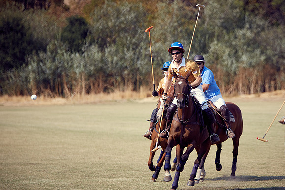 Oyster Cup Polo tournament