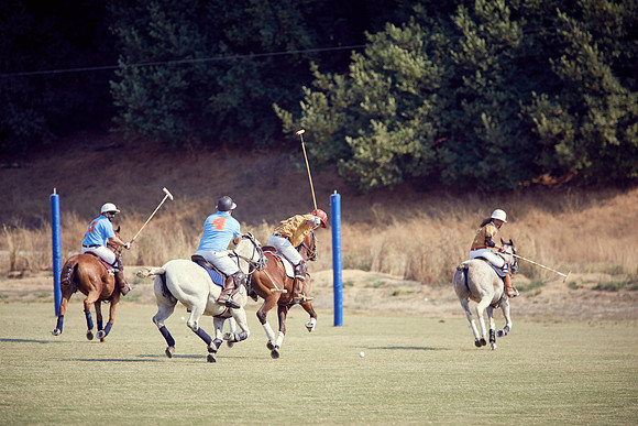 Oyster Cup Polo tournament