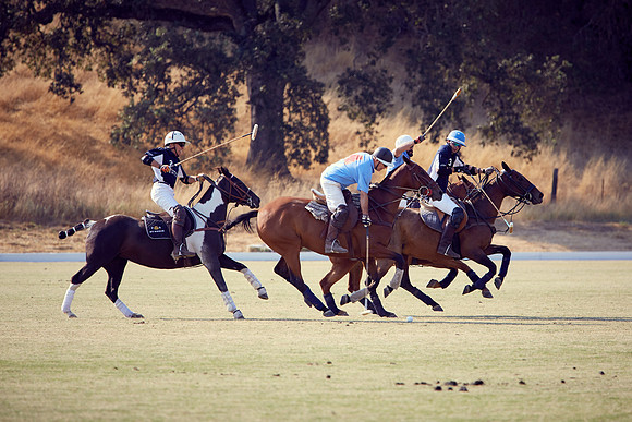 Oyster Cup Polo tournament