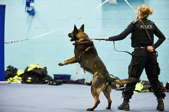 20151204-Dominic-James-AQ1Y5299.CR2