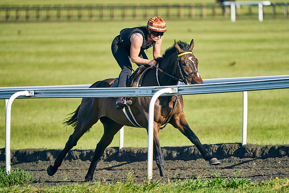 2022-06-11-Dominic-James-0384