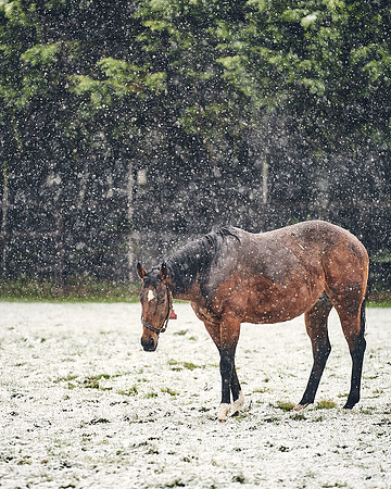 NATIONAL-STUD-27th-FEB-DJ-_DJ94681.ARW-5835