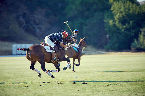 Oyster Cup Polo tournament