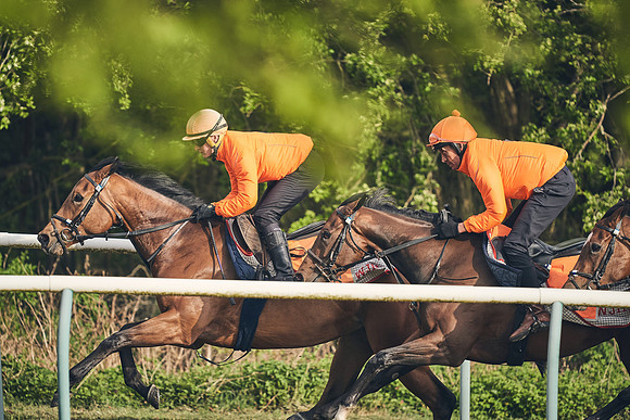 NEWMARKET-GALLOPS-24nd-APRIL-DJ-0648