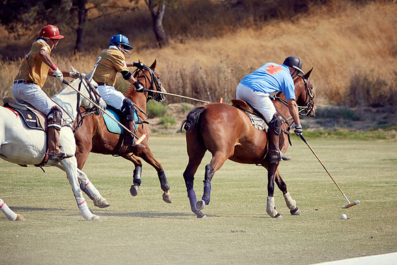 Oyster Cup Polo tournament