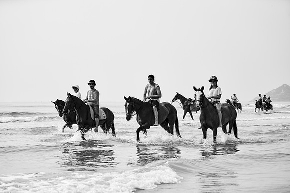 _DSC1739.ARW