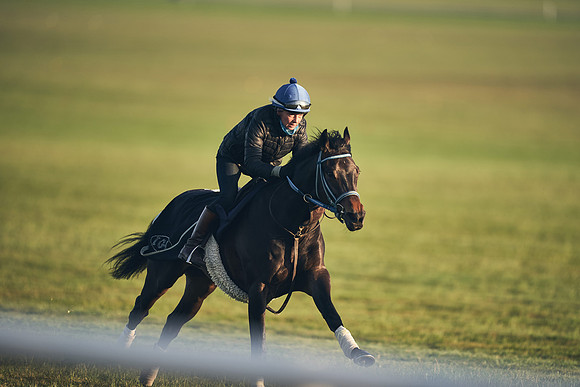 SUMMER GALLOPS-2nd-May-DJ-2060