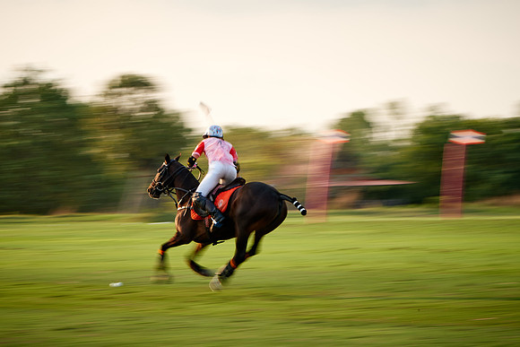 THAI-PINK-POLO-2019_DJ_3568