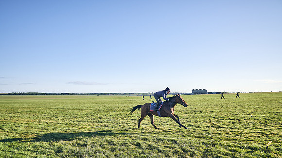 SUMMER GALLOPS-2nd-May-DJ-1277