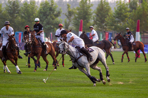 Royal Salute Gold Cup 2012 China Polo Open Tournament