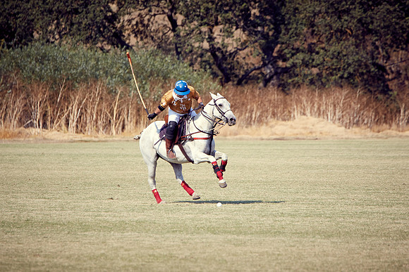 Oyster Cup Polo tournament