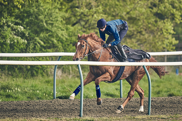 NEWMARKET-GALLOPS-24nd-APRIL-DJ-0557