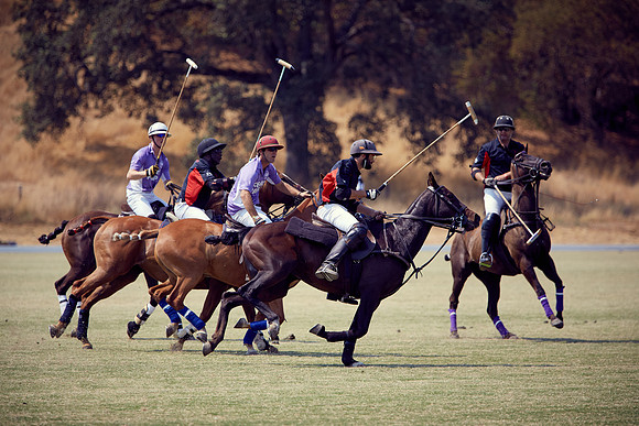 Oyster Cup Polo tournament