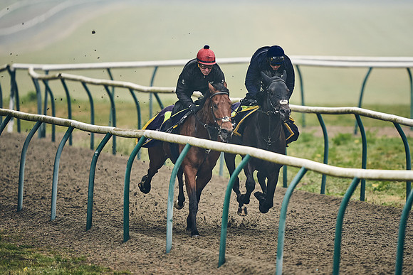 NEWMARKET-GALLOPS-24nd-APRIL-DJ-0354