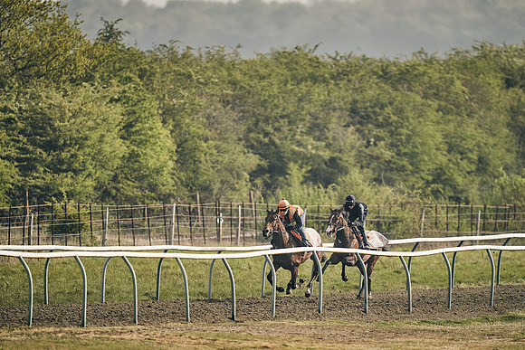 NEWMARKET-GALLOPS-24nd-APRIL-DJ-0669