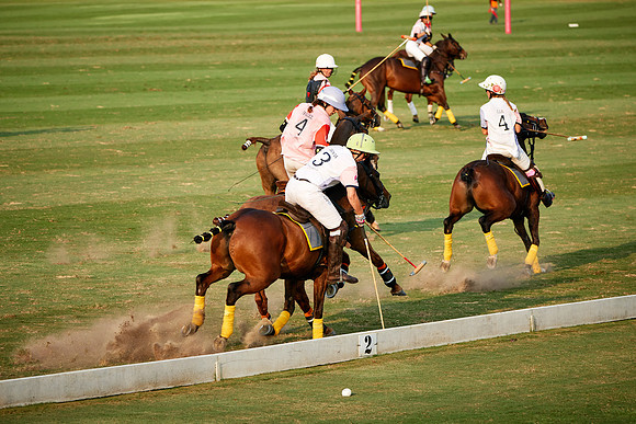 THAI-PINK-POLO-2019_DJ_3250