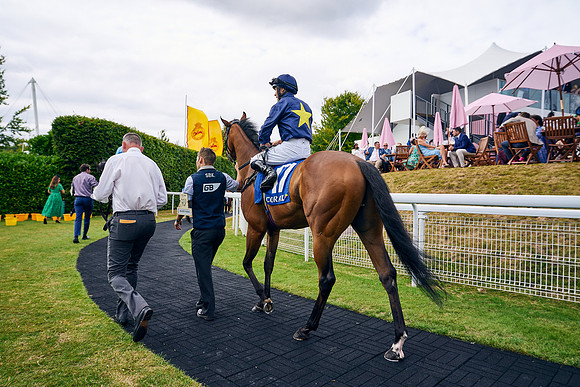 QGF2022_DominicJames_20997