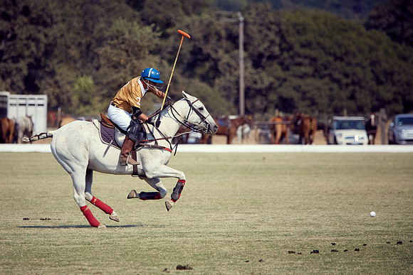 Oyster Cup Polo tournament
