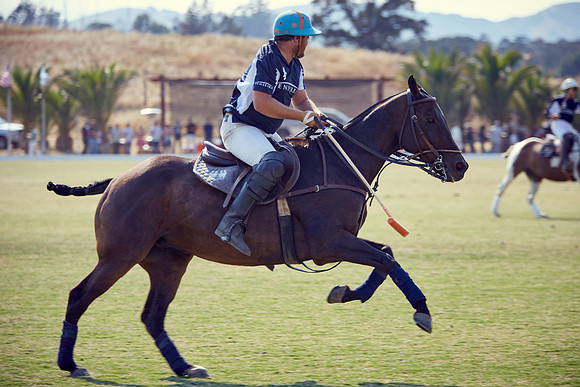 Oyster Cup Polo tournament