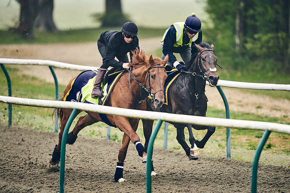 NEWMARKET-GALLOPS-24nd-APRIL-DJ-0250