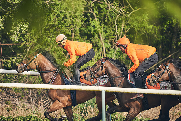 NEWMARKET-GALLOPS-24nd-APRIL-DJ-0649