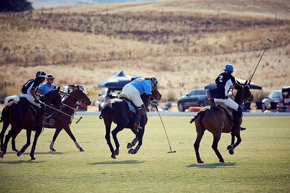 Oyster Cup Polo tournament