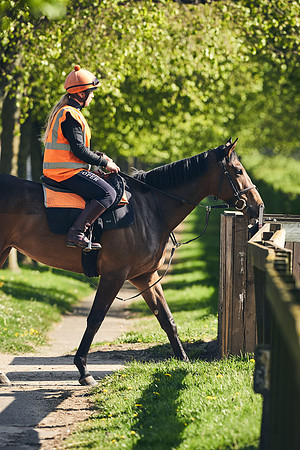 NEWMARKET-GALLOPS-22nd-APRIL-DJ-3978
