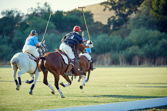 Oyster Cup Polo tournament