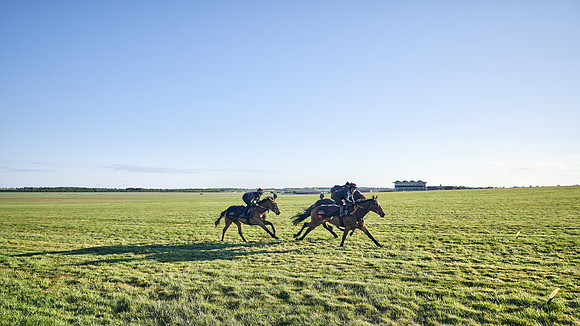 SUMMER GALLOPS-2nd-May-DJ-1112