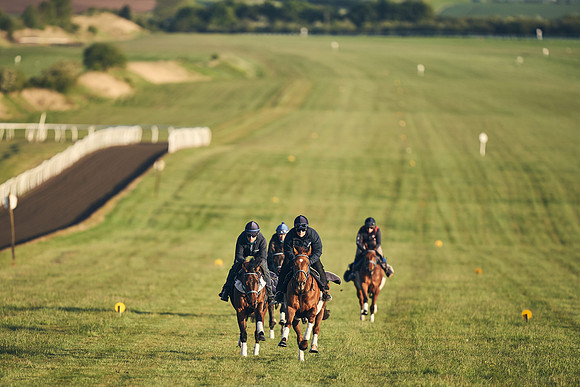 SUMMER GALLOPS-2nd-May-DJ-2021