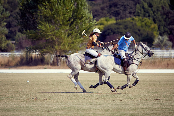 Oyster Cup Polo tournament